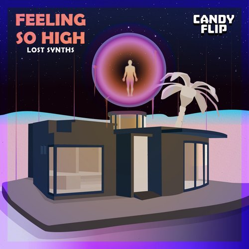 Lost Synths - Feeling So High [CAT592861]